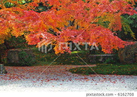 Tengui-an in autumn Tengui-an in autumn 6162708