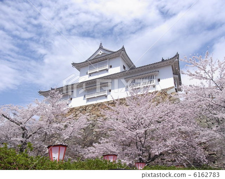 Cherry blossoms at Hsuruyama Park 6162783
