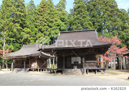 Koyasan羊駝神在室內和同事（Jun Todo） 6162820