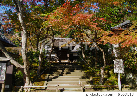 Nojima Temple / Saint Forest 6163113