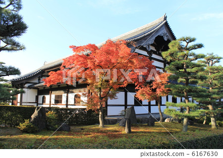 京都Tofukuji的Zendo和秋葉 6167630