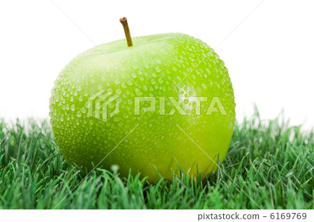 Green wet apple on grass Green wet apple on grass 6169769