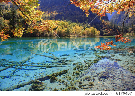 Fall of Five Flower Seas 6170497