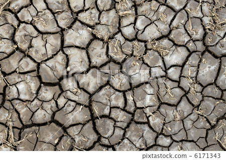 Dry soil texture 6171343