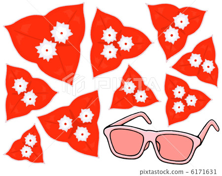 Bougainvillea sunglasses 6171631