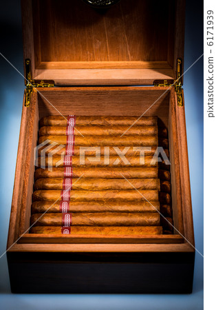 Cigars in humidor 6171939