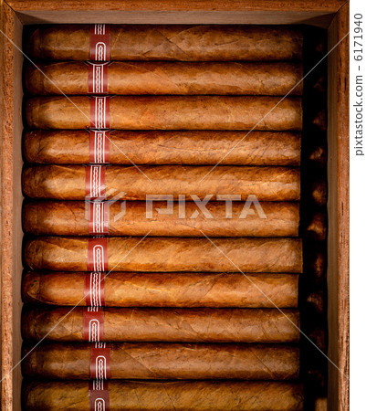 Cigars in humidor 6171940