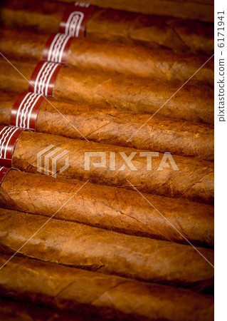 background cigars in humidor background cigars in humidor 6171941