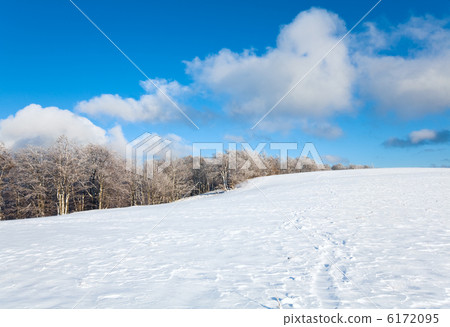First winter snow and mountain beech forest First winter snow and mountain beech forest 6172095