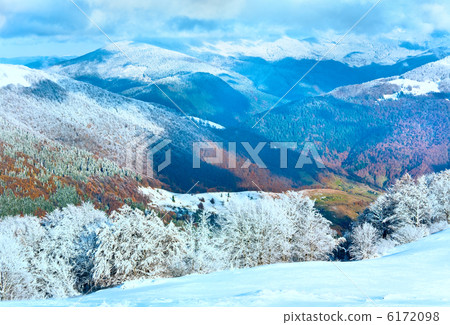 First winter snow and mountain beech forest First winter snow and mountain beech forest 6172098
