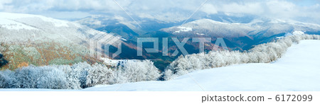 First winter snow and mountain beech forest 6172099