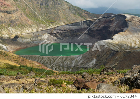 Zao ginkgo Zao ginkgo 6172344