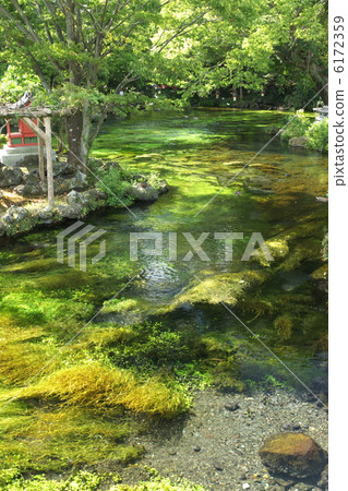 Asama Taisya Spring Pond 6172359