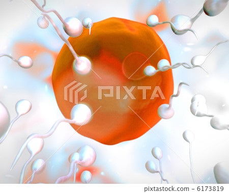 Orange egg being fertilized 6173819