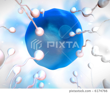 Blue egg being fertilized 6174766