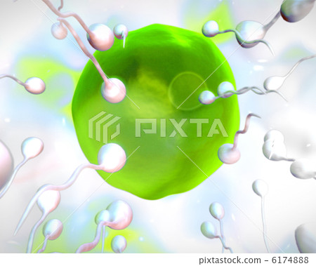 Green egg being fertilized 6174888