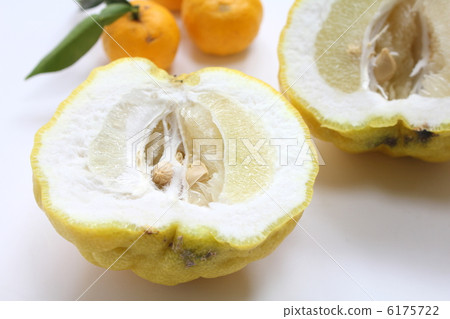 Otsuko Shishi Yuzu 6175722