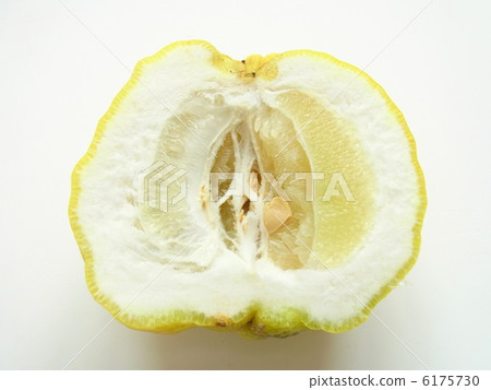 Cross section of Shishi Yuzu 6175730
