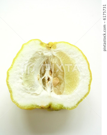Cross section of Shishi Yuzu Cross section of Shishi Yuzu 6175731
