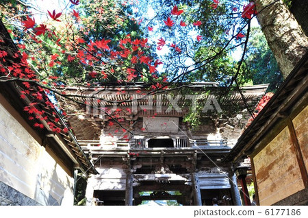 Yokodoji in autumn 6177186