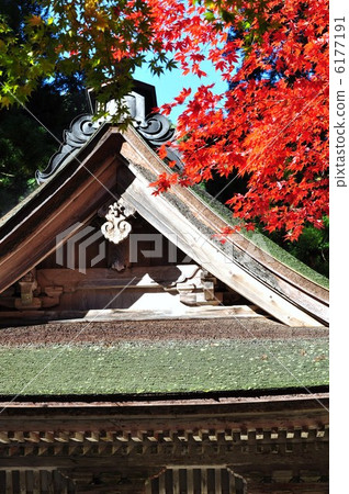 Yokodoji在秋天 Yokodoji在秋天 6177191