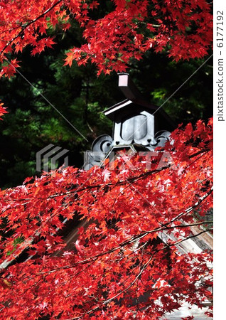 Yokodoji在秋天 6177192