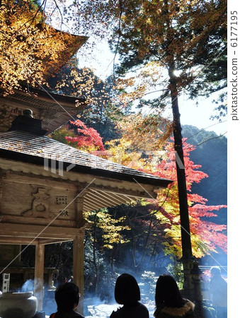 Yokodoji in autumn 6177195