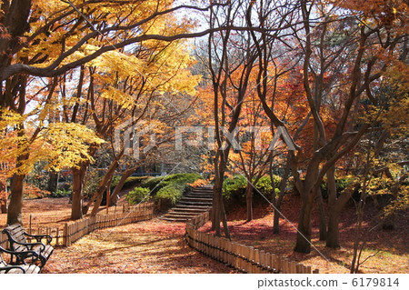 Jindai Botanical Garden 6179814