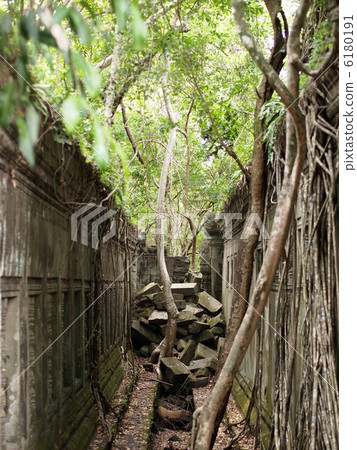 世界遺產吳哥遺址本梅利亞 世界遺產吳哥遺址本梅利亞 6180191
