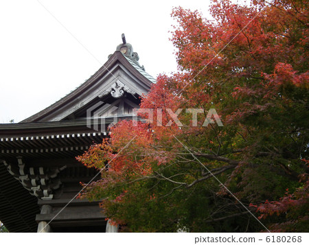 高雄保護區 6180268