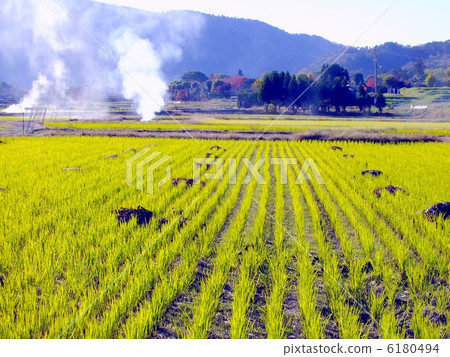 Green landscape of early winter Green landscape of early winter 6180494