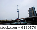 Sky tree  6180570