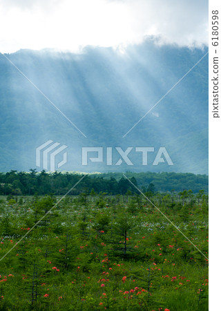 Senjogahara的光束 6180598