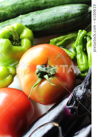 夏季蔬菜 6180619