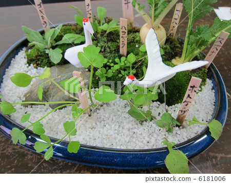 Spring season planting 6181006