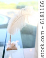 Quill pen Quill pen 6181166