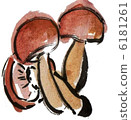 Shimeji 6181261