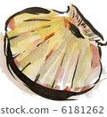  Scallop 6181262