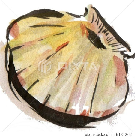  Scallop 6181262