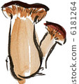 king oyster mushroom 6181264