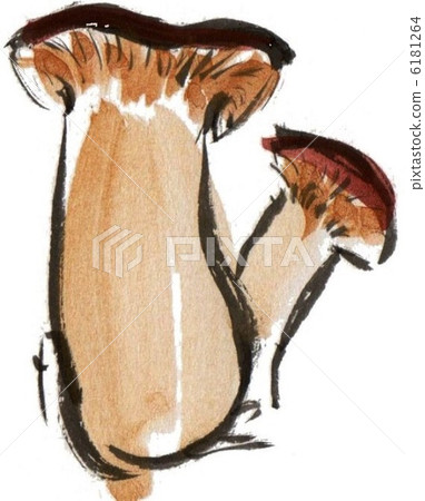 king oyster mushroom 6181264