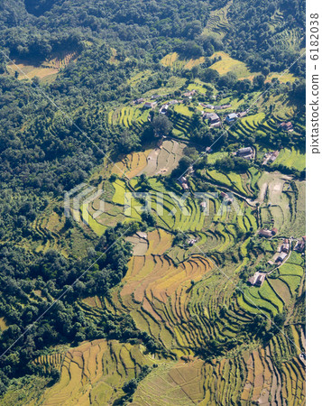 一隻猴子 6182038