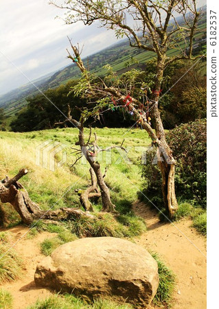 格拉斯頓伯里雞蛋 格拉斯頓伯里雞蛋 6182537