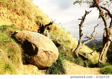 格拉斯頓伯里雞蛋 格拉斯頓伯里雞蛋 6182539