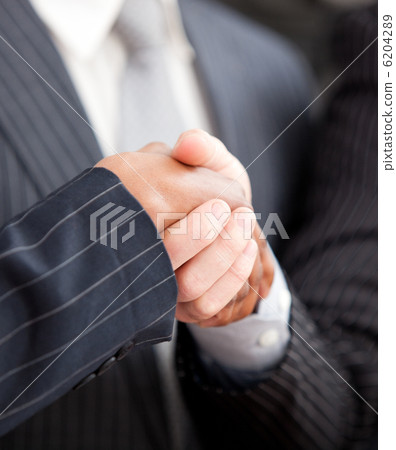 Handshake between two businessmen 6204289