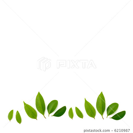 Konoha lined up 6210987