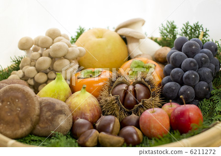 Autumn taste 6211272