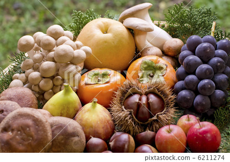 Autumn taste image Autumn taste image 6211274