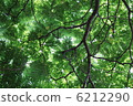 Green 6212290