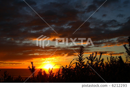 Sunrise 6212293